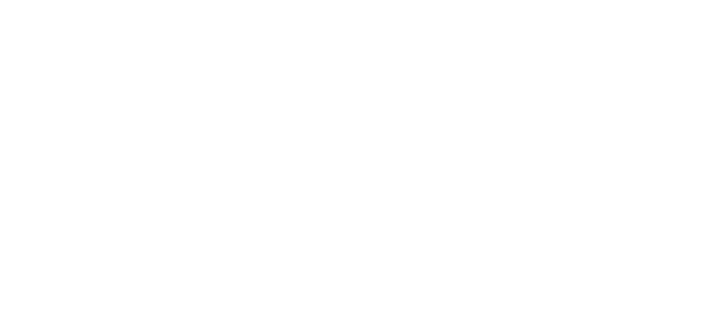 Icareus Logo white