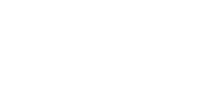 Icareus Logo white
